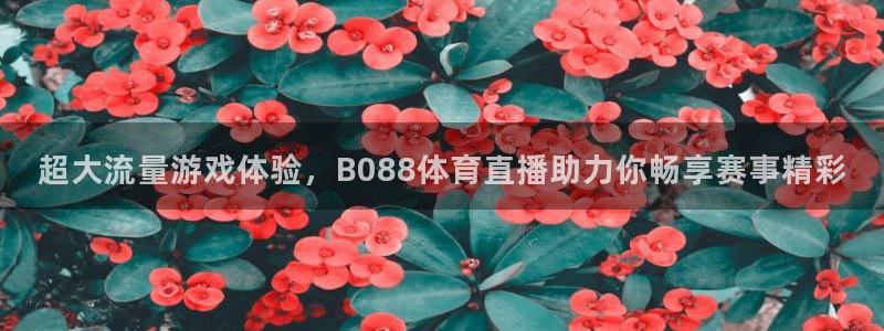 超大流量游戏体验，B088体育直播助力你畅享赛事精彩