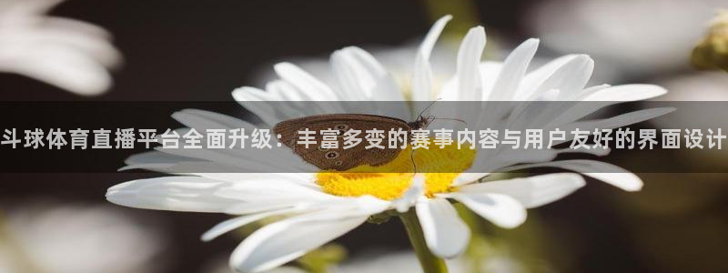 斗球体育直播平台全面升级：丰富多变的赛事内容与用户友好的界面设计